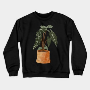 Alocasia Polly Plant Crewneck Sweatshirt